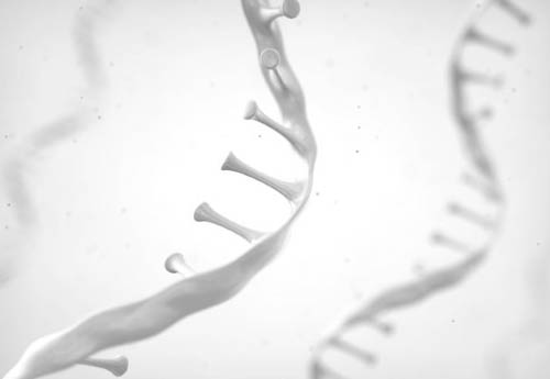 Fig.4 Lipid-based mRNA Vaccine Development-Brochure. (Creative Biolabs Original)