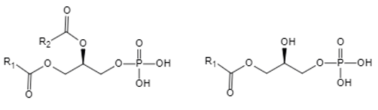 Fig.1 General molecular formula of PA (left) and LPA (right). (Creative Biolabs Original)