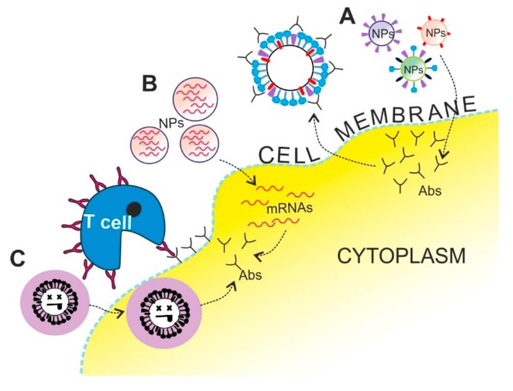 The application of nanotechnology in vaccination. (OA Literature)