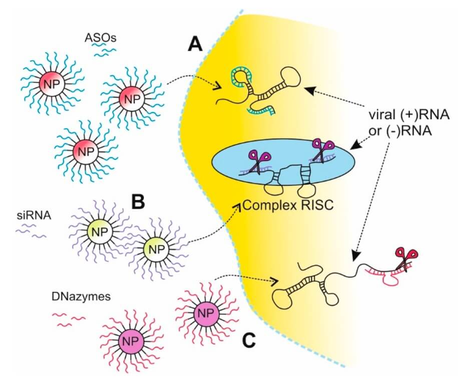 The application of nanoparticles in gene silencing. (OA Literature) 