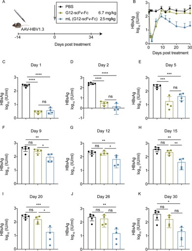 LNP reduces HBsAg. (OA Literature)