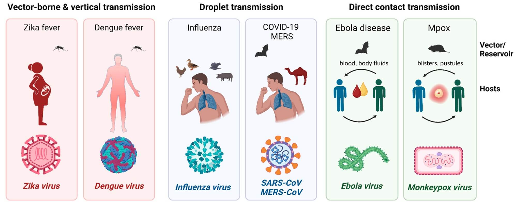 The vectors, hosts and transmission routes of viral infections. (OA Literature)