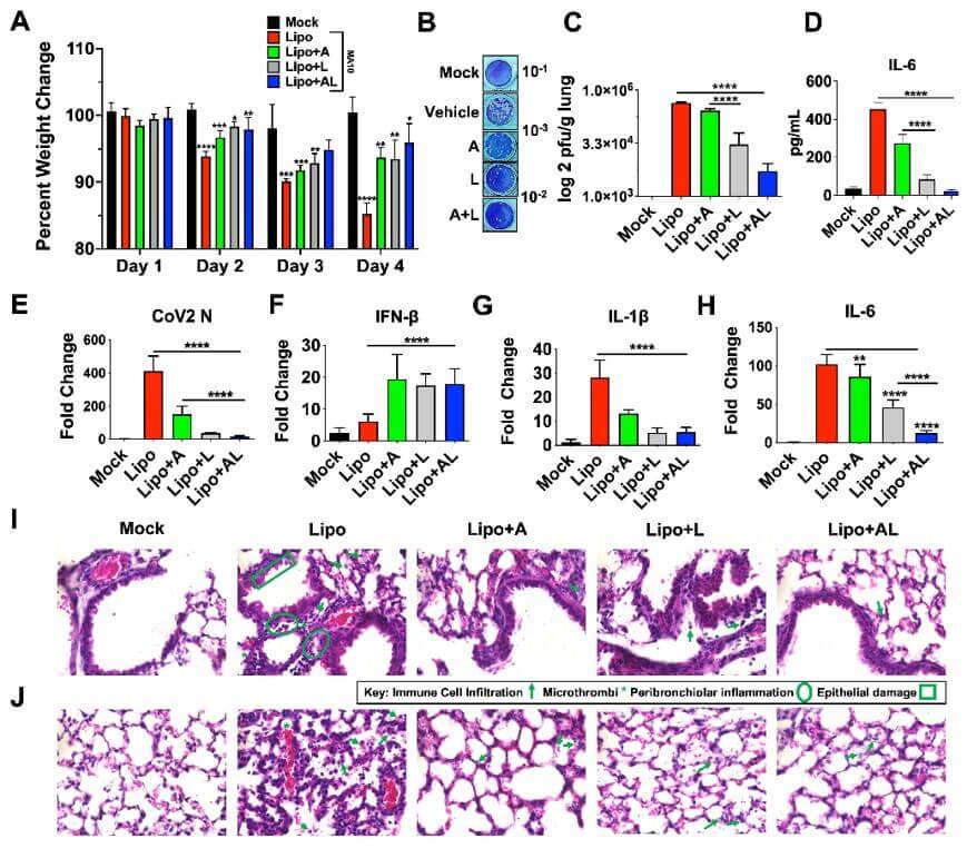The antiviral effect of ALA liposomes. (OA Literature)