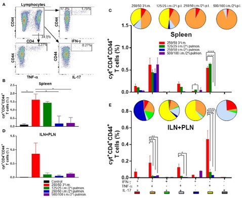 H56/CAF01 induces the same spleen T-cell response through two pathways. (OA Literature)