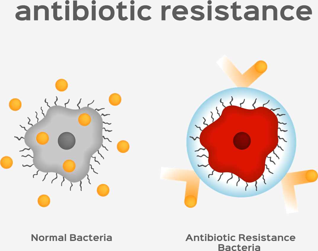 Bacterial Infections-2. (Creative Biolabs Authorized)