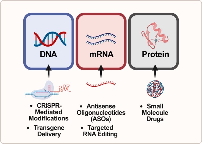 Treatment methods for ASD. (OA Literature) 