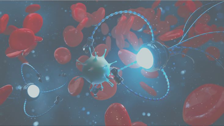 Pharmacodynamics. (Creative Biolabs Authorized)