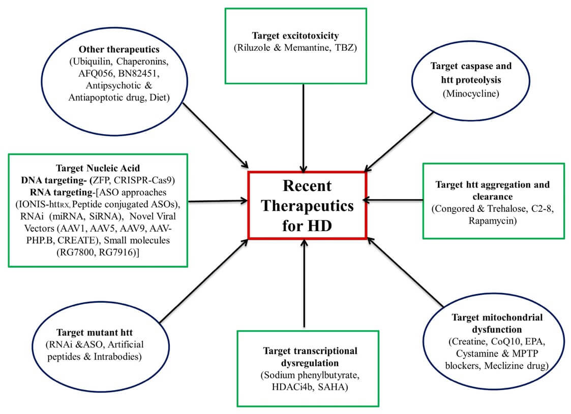 Treatment methods for HD. (OA Literature)