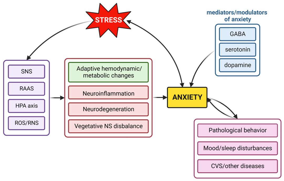 The development mechanism of anxiety. (OA Literature) 