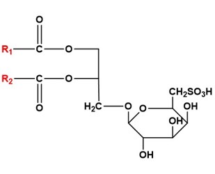 Science-3. (Creative Biolabs Original)