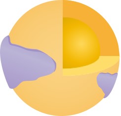 Science-4. (Creative Biolabs Original)