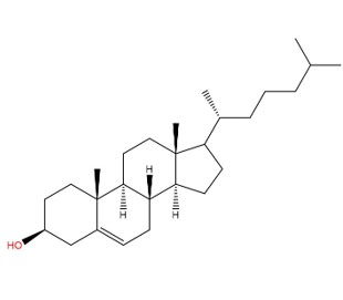 Science-6. (Creative Biolabs Original)