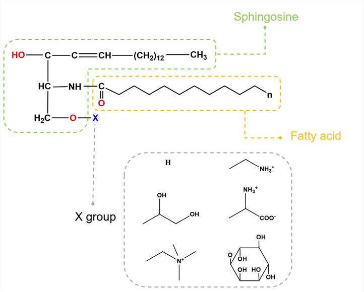 Science-7. (Creative Biolabs Original)