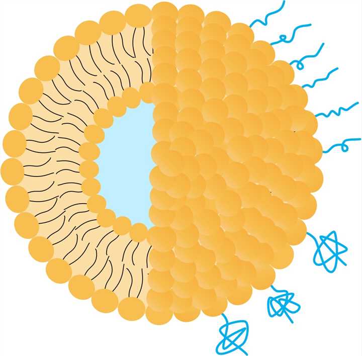 Science-8. (Creative Biolabs Original)