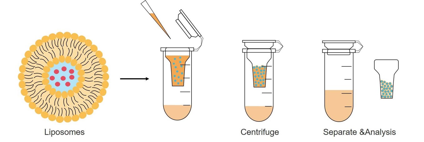 Drug separation for EE test. (Creative Biolabs Original)