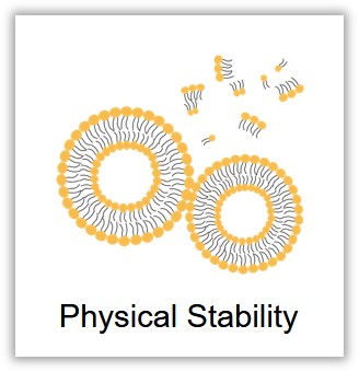 Liposome stability-2. (Creative Biolabs Original)