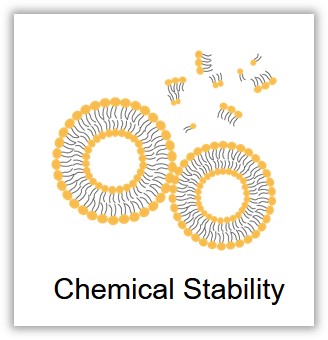 Liposome stability-3. (Creative Biolabs Original)
