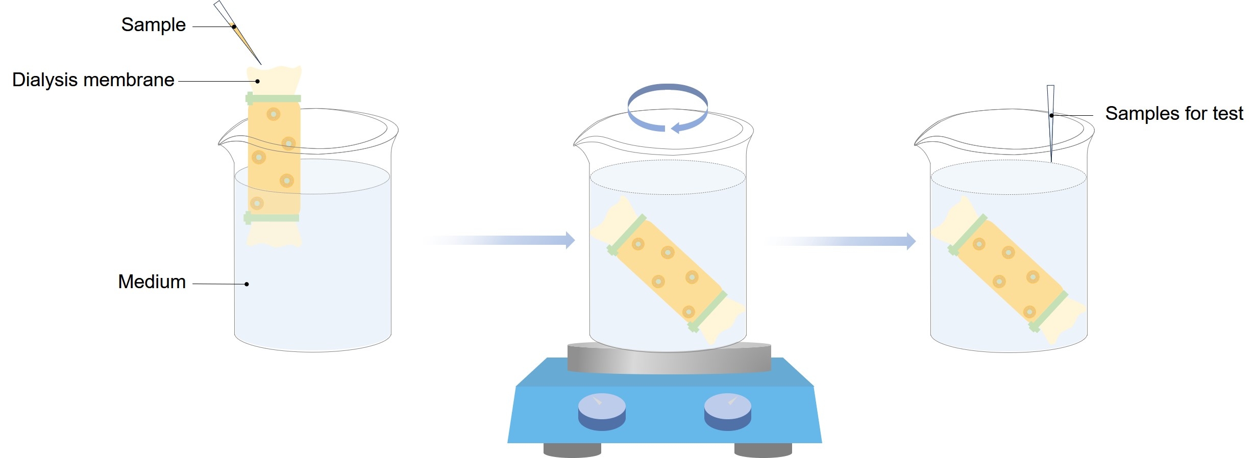 Fig.1 Graphical illustration of the process of dialysis. (Creative Biolabs Original)