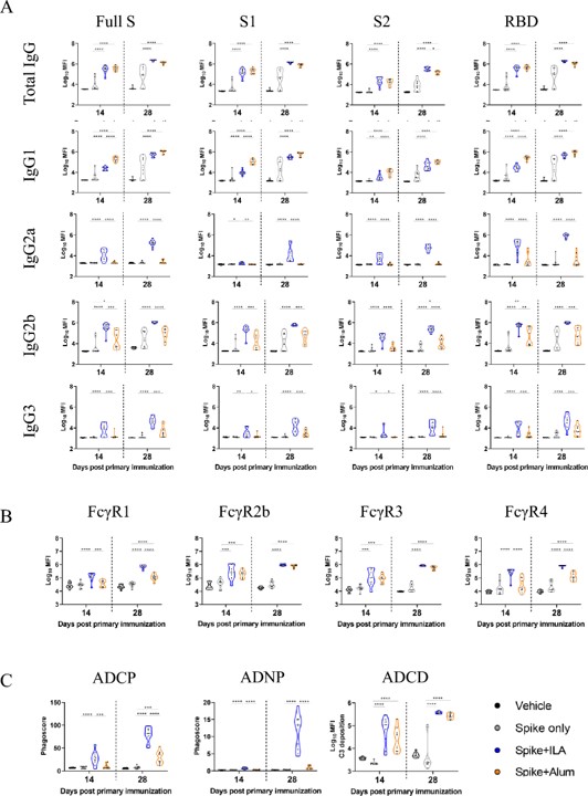 Adjuvant-induced functional antibody response. (OA Literature)