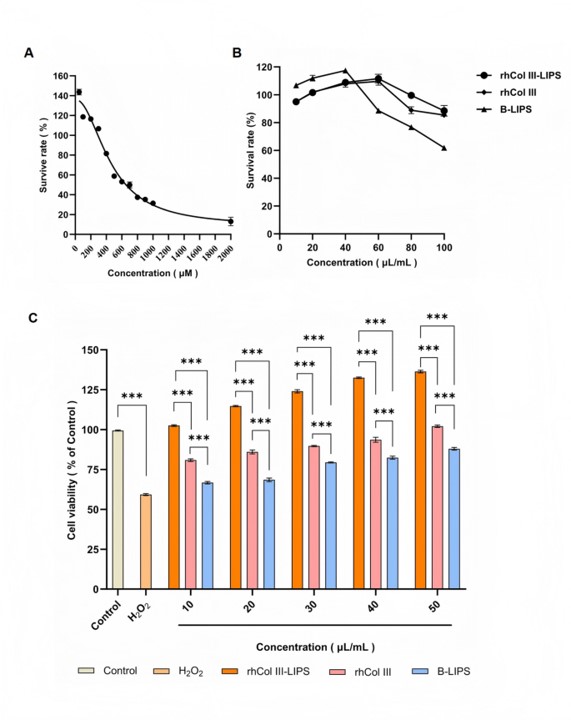 Construction of HaCaT cell oxidative injury model and effects of sample solutions with different volume fractions on HaCaT cells. (OA Literature)