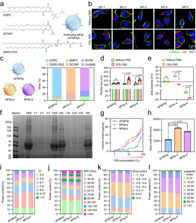 Preparation, optimization, and anti-protein-adsorption effect of AFMFlips. (OA Literature)