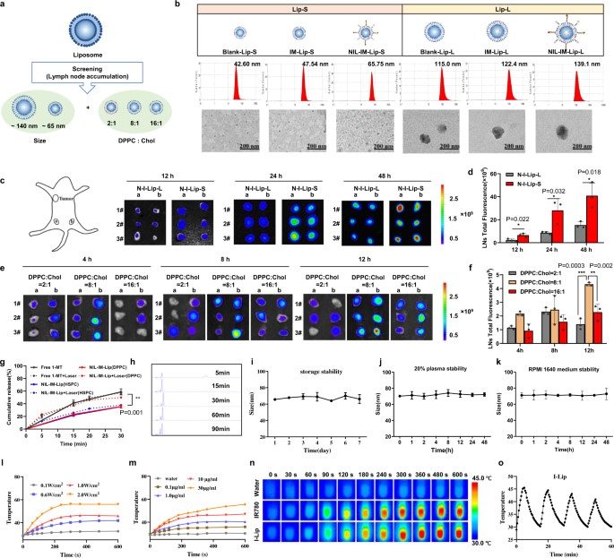 Efficacy of NIL-IM-Lip with a small size and 1/8 mass ratio of cholesterol on LNs directing properties, xenotype cell delivery and photothermal conversion. (OA Literature)