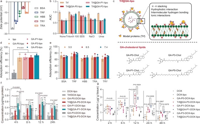 Adsorbed protein on GA-lipo preserves targeting function. (OA Literature)