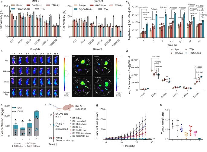 Treatment efficacy of TRA adsorbed galloylated liposomes in SKOV3 tumor-bearing nude mice. (OA Literature)