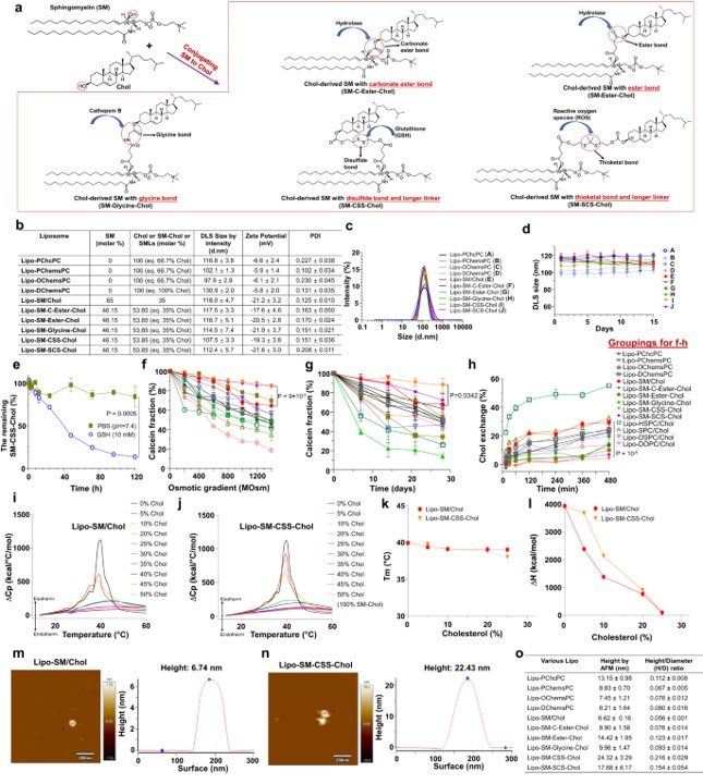 Development of SM-derived Chol Lipo (Lipo-SM-Chol). (OA Literature)