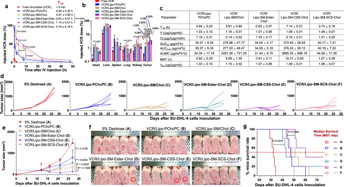 Improved circulation time, tumor delivery and therapeutic efficacy of VCR/Lipo-SM-CSS-Chol. (OA Literature)