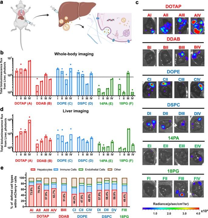LNP-mediated local intrahepatic pDNA delivery in cluster-mode screening. (OA Literature)