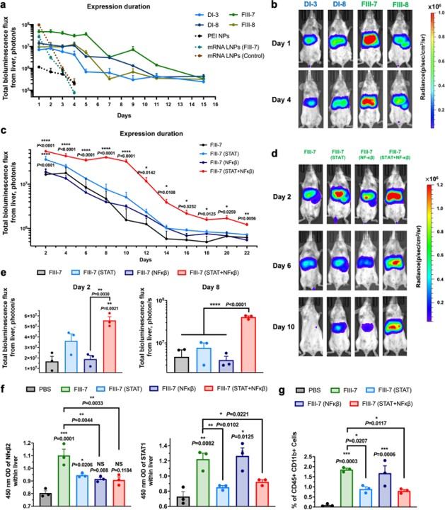 More durable expression of pDNA LNPs and extended transgene expression duration by co-delivery of anti-inflammatory siRNA. (OA Literature)