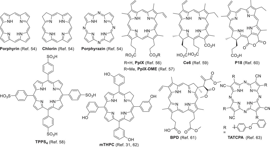 PS and liposomal PS. (OA Literature)