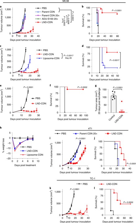 A single dose of LND-CDN shows therapeutic efficacy in multiple syngeneic tumour models. (OA Literature)