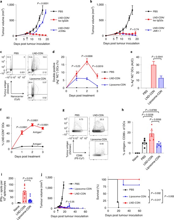 Co-localization of tumour antigen and LND-CDN nanoparticles in lymph node dendritic cells leads to effective antitumour T-cell priming. (OA Literature)