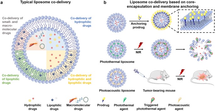Co-delivery based on liposomes. (OA Literature)