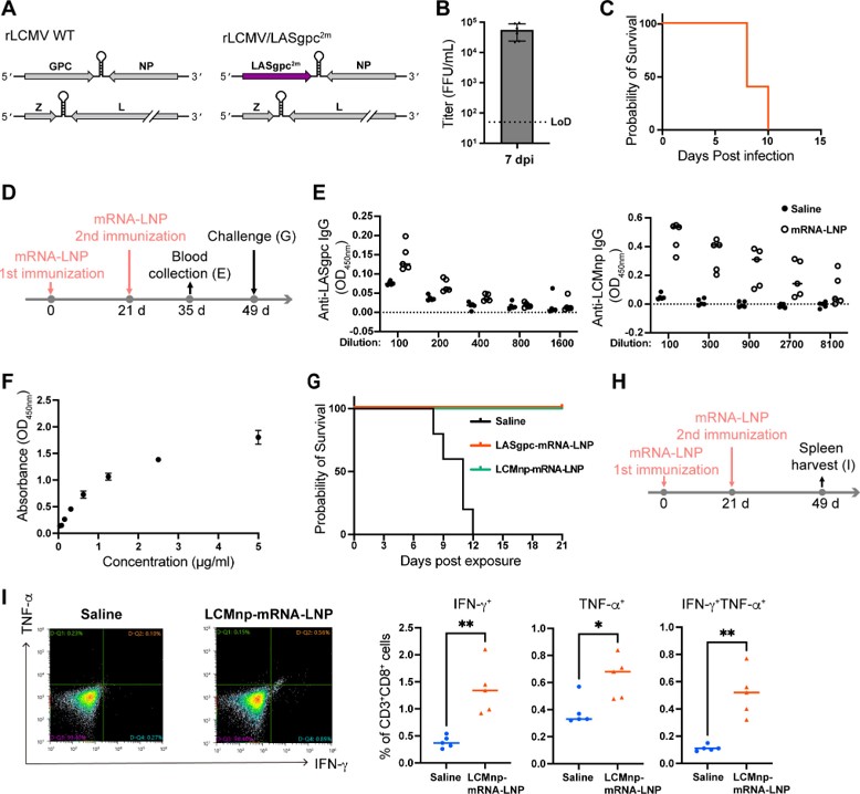 The protective effects of two types of mRNA-LNP on C57BL/6 mice. (OA Literature) 