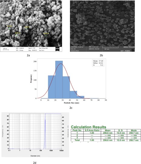 The basic characterization results of zinc oxide nanoparticles. (Rezaei, Hossein, 2024) (OA Literature)