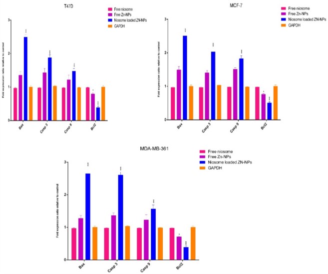 The gene expression situation of Zn-NPs loaded in niosomes in cells. (Rezaei, Hossein, 2024) (OA Literature)