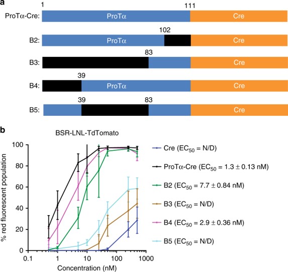 Genome Editing Delivery. (Kim, Y. Bill, 2019) (OA Literature)