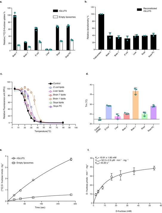 Immune response. (Suades, Albert, 2023) (OA Literature)