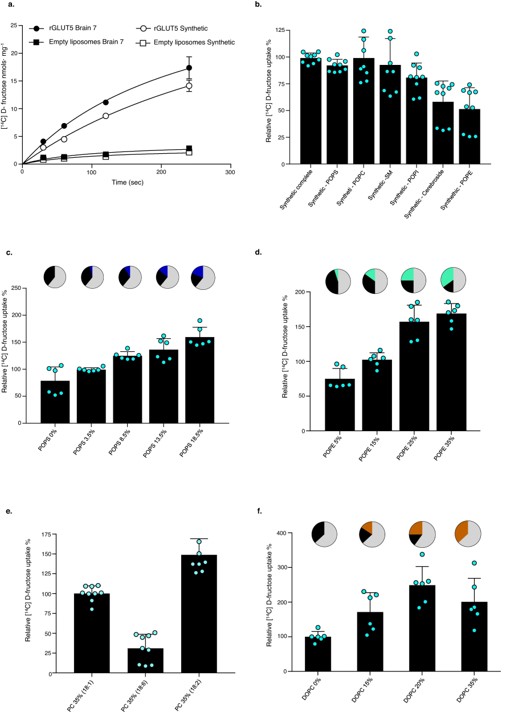Proteoliposomes affect the activity of transport proteins. (Suades, Albert, 2023) (OA Literature)