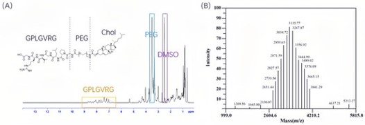 The analysis results of Chol-PEG2K-GPLGVRG. (OA Literature) 