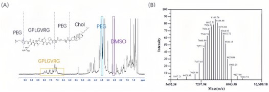The analysis results of Chol-PEG2K-GPLGVRG-PEG5K. (OA Literature) 