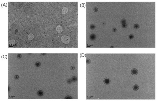 The morphology of liposomes. (OA Literature)