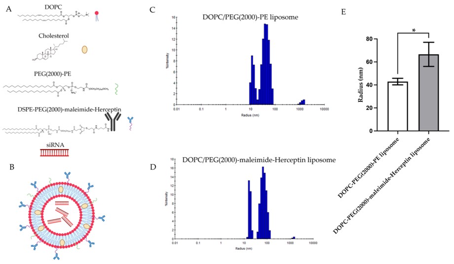 Composition and DLS analysis of liposome. (OA Literature)