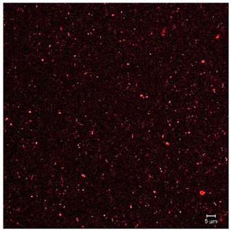 Image of CLMS. (OA Literature)