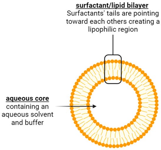 Schematic diagram of the structure of niosome. (OA Literature)