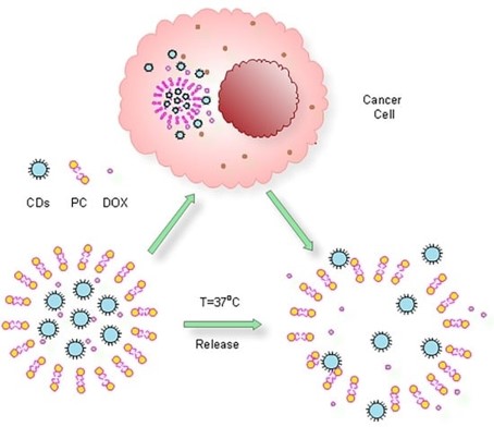 Carbon Dot-Enhanced Doxorubicin Liposomes. (OA Literature)