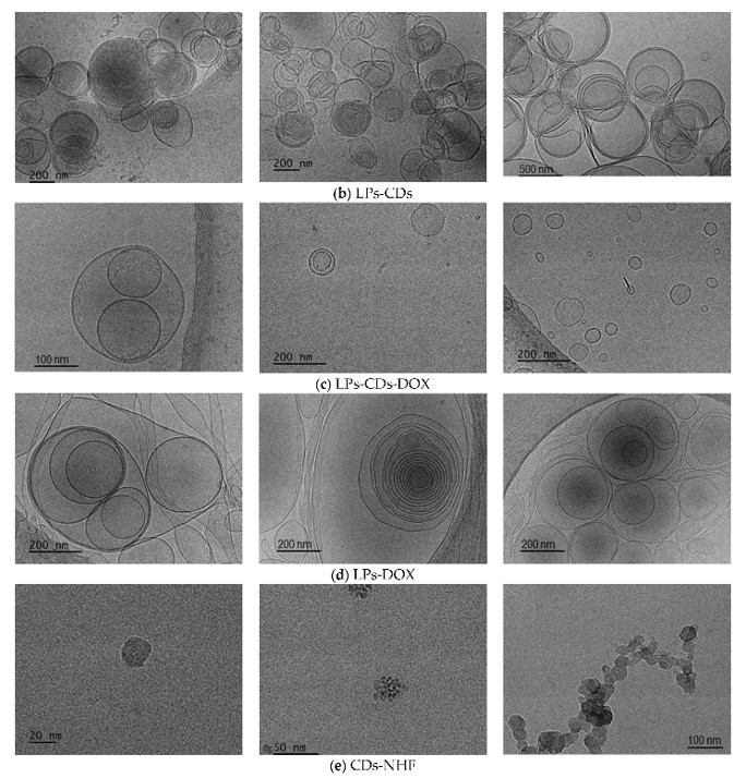 Electron microscope images for all LPs formulations and CDs-NHF. (OA Literature)